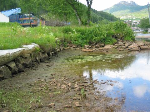 Landabryggja i dag. Ho treng oppmudring. Den grøne haugen er ein utrast utstikkar. Den heldt elvestraumen unna og var fundament for ei sjøbu. 