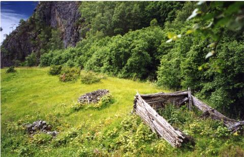 Restane etter høyløe på heimebøen. Bustadhus og fjøs for kyr og småfe låg kring 100 meter nord for heimebøen, i høgre biletkant. 

