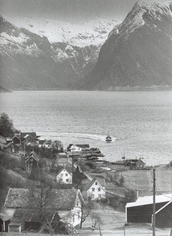 Ortnevik i 1979. Huset attmed treet med skjorereir i, tilhøyrde då handelsmann Harald Hovland, og det var på nordsida av huset bautasteinen vart reist, truleg eit par år etter 1905. I 1980-åra kom det opp ny butikk, men det var ikkje naudsynt å flytta minnesteinen.
