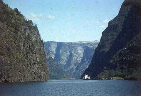 Nærøyfjorden er eit verna område og står på UNESCO si liste over verdas viktigaste kultur- og naturarvobjekt. Nærøyfjorden er rekna mellom dei vakraste fjordlandskapa på i verda.

