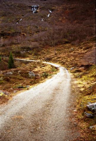 Flofjell-vegen vart ferdigbygd gjennom det verste ulende der fjell og urder stengde. Vegen er eit fint opparbeidd vegstykke, og er i dag mykje nytta som turveg.
