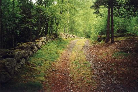 Parti av den gamle vegen bygd i 1860-åra. 

 