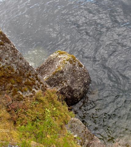 <p>&laquo;H&aring;mannesteinen: <em>Kjem du inn i Skredestranda / kan du sj&aring; den steinen sj&oslash;lv.&raquo;</em> H&aring;mannesteinen ligg vest p&aring; Skredestranda, tett attmed bratte berghamrar. Fotografen har her teke seg med fr&aring; den gamle vegen p&aring; utsida av tunnellen austover fr&aring; Maragj&oslash;let.</p>