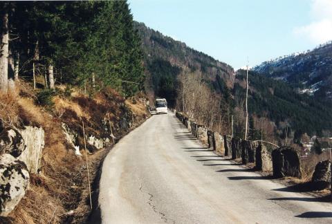 Stigedalsvegen vart bygd i 1921-31 og kosta kr 733.000. Vegen gjekk 9 km i Sogn og Fjordane og 14 km i Møre og Romsdal. Då Stigedalsvegen vart mellombels E-39 og ein del av kyststamvegen, vedtok Stortinget at vegen skulle utbetrast. Legg merke til dei gamle stabbesteinane.
			