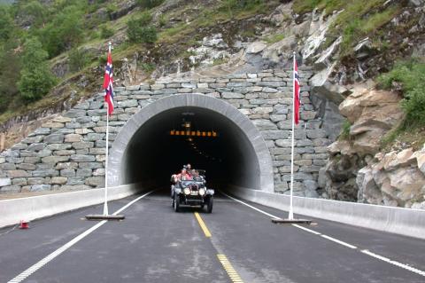 Frå opninga av Seltatunnelen 30. juli 2003. Veteranbilen køyrer ut den nedre opninga. Stamvegane er blodårene i vårt moderne samfunn, vert det hevda. Her skal transport og varer gå sikkert og raskt både innanlands og over landegrensene. Stamvegane har difor ein høgare standard enn riksvegnettet. Køyrebreidda på ein stamveg skal vera mellom 7,5 og 8,5 m, og det vert stilt spesielle krav til avkøyrsler og kurvatur.    