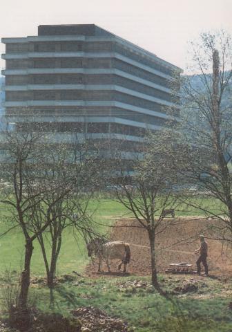 Sentralsjukehuset vart bygt på garden Via i Førde. Bygginga tok til i 1975 og sjukehuset stod ferdig hausten 1979. Det er i alt på ti etasjar, med ni over bakken.
