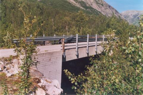 Brua over Vetledøla i Sprongdalen, bygd på 1980-talet. Den gamle steinbrua ligg eit kort stykke ovanom. Tek ein seg umaken med å gå ned og under brua, får ein godt utsyn mot gamlebrua.