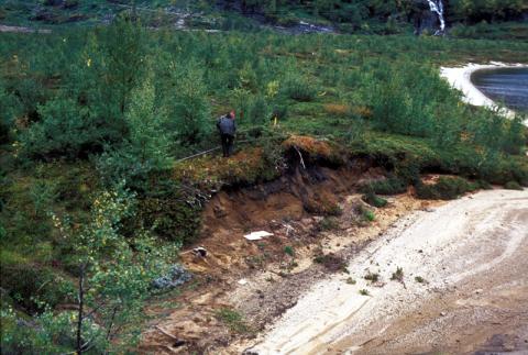 Slaggdyngjer og restar av omnar frå jernutvinninga ligg gøymt under tjukk lyngtorv. I brattkanten mot vatnet er kolfarga jord frå ein sjaktomn som held på å rasa ut. På stranda ligg jernslagg og brende leirbitar frå knuste omnssjakter.