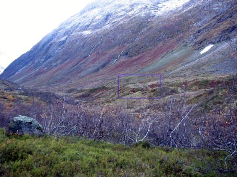 Utsyn heimover Eldedalen. Stølen Tuftene ligg på morenryggen til høgre på biletet