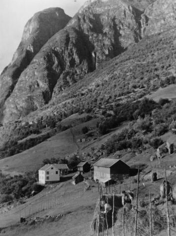 Tunet på garden Høydalen. Til venstre ligg raudastova. Dette er ei halvlemstove bygd tidleg på 1800-talet. Kvitebygningen vart bygd på slutten av 1700-talet. Til høgre ligg driftsbygningen, truleg bygd på midten av 1800-talet. 



