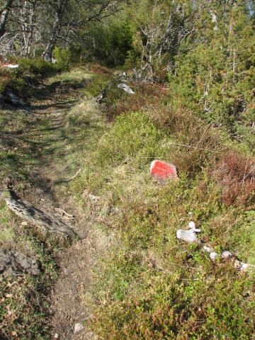 Grensestein med innhoggen x (kross) attmed stien.