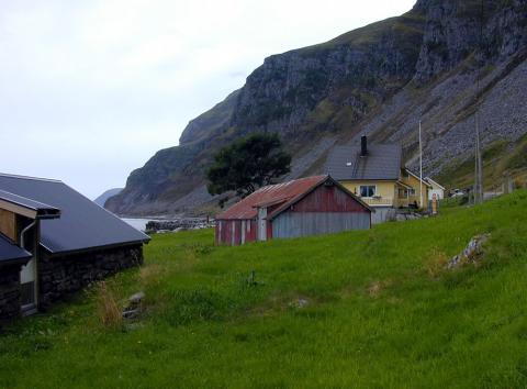 På plassen Skårebø i Selje har det vore kystgeitedrift i ubroten tradisjon så langt bakover i tid ein kan hugse. Her er det ikkje langt frå hav til fjell, men vegen opp krev ein god klatrar; geita.

