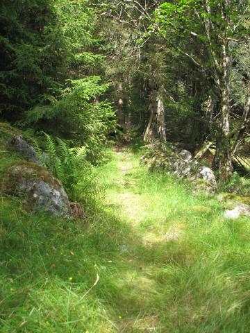 Stølsvegen til Eikjadalen år 2006 heilt nede på Eiki like etter grinda til utmarka. Stølsvegen går gjennom bratt, skogvokse terreng heilt opp til stølen.




