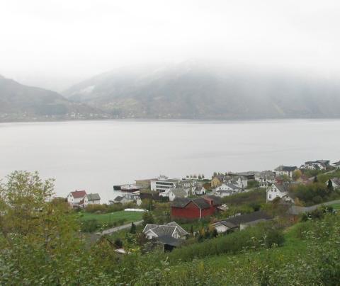 Hanahaug 2006. <i>Hane</i> og <i>Hana</i> finst i mange stadnamn: Til dømes Hanaviki, Hanasand, Hana, Hanahaug. Hane/hana kan ha smanheng med fuglenamnet hane, det gamalnorske mannsnamnet Hani, og, jamvel dyrenamnet geit. 




