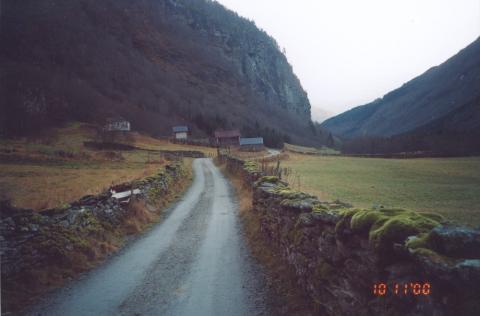 Eit anna steingjerde langs vegen inn dalen mot der det no er skogvaksen mark.