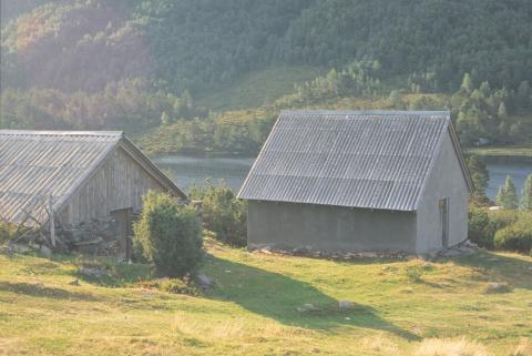 To fjøs.