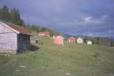 Sel på kvia. Fjøsar i øvre garden.