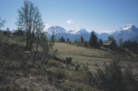 Dalestølen med bre og fjell bak.