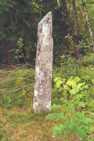 Steinen er 1,80 m høg, 30 cm brei nede og 15 cm tjukk. Det finst ikkje spor etter innhogde teikn av noko slag.