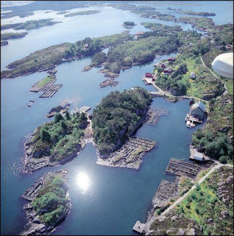 Sjøhusmurane ved nordre Fanøyvåg og nordre Flugevåg på Fanøya i Batalden.