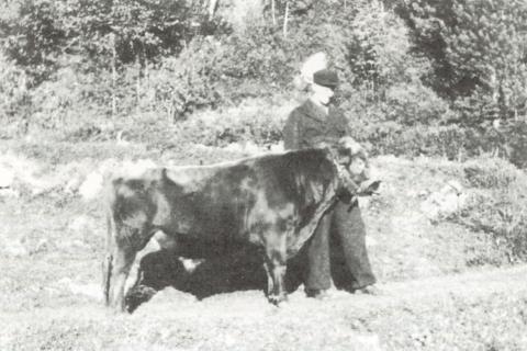 Lars Hatledal med premiestuten "Dalauksen" kring 1938.