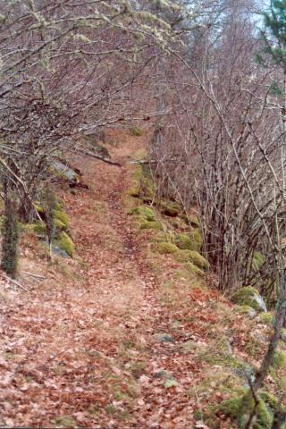 Frå riksvegen tek det eit kvarters tid til haugen. Vegen går gjennom interessant kultur- og naturlandskap.