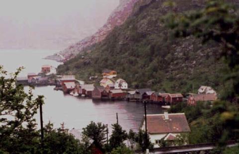 Sjøbuene i Torskangerpollen ligg på bruka Vika, Seljenes, Holmen og Myrstrand under garden Våge.
