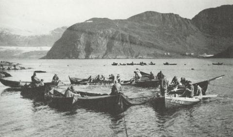 Sildeopptak ved Færestrand kring 1930. I bakgrunnen ser ein Kvalheim, Stalbrekka og Nord-Oppedal. Her er karane frå Torskangerpollen, Færestrand, Oppedal og Våge i ferd med å ta inn fangsten.