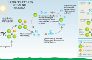 På figuren er det vist hvordan KFK-gasser først blir brutt ned til frie kloratomer som deretter spalter ozonmolekylene