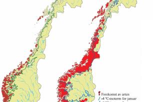 Eksempler på kystplanter som også vokser i mindre vintermilde områder