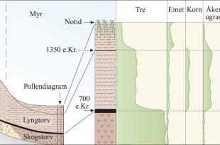 Snitt og pollendiagram som viser korleis myrlaga gir informasjon om vegetasjonsendringar på Lurekalven