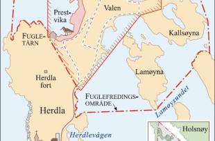 Dei viktigaste fugleområda på Herdla vart verna som naturreservat i 1985