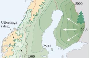 Spreiinga av granskogen frå aust mot vest i Skandinavia