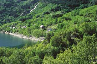 Lauvskogliene langs Hardangerfjorden