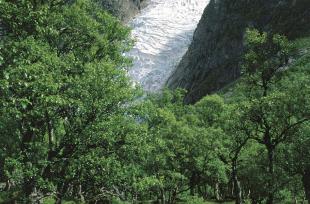 Bondhusbreen, Kvinnherad