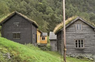 Kvilekvål, Voss