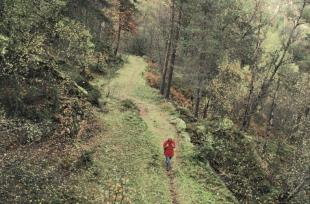 Postvegen mellom Stalheim og Oppheim er ein fin turveg