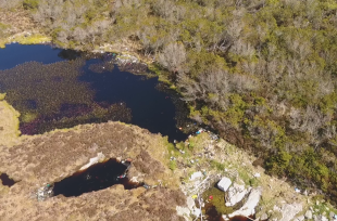 Dronebilete frå den plastoppdemde tjørna på Lisle Lyngøy.