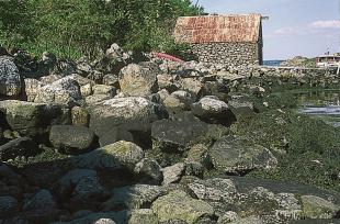 Steinblokkene i stranda på Husebø har bølgjene vaska ut av Herdlamorenen