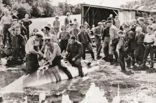 Kvalvågen i Skogsvågen 20.juni 1960