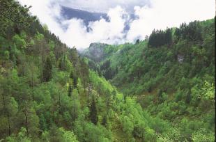 Då landet lyfta seg opp, grov elvane seg ned. Noko av bergmassane som vart fjerna då Ramnagjelet og Sysegjelet vart forma, finn vi att som sand og grus i terrassane i Ulvik